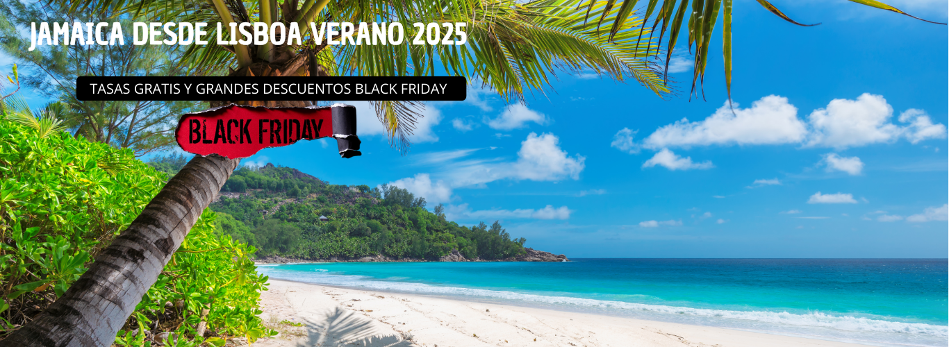 PROMOCION BLACK FRIDAY JAMAICA NEW BLUE (1366 x 500 px)