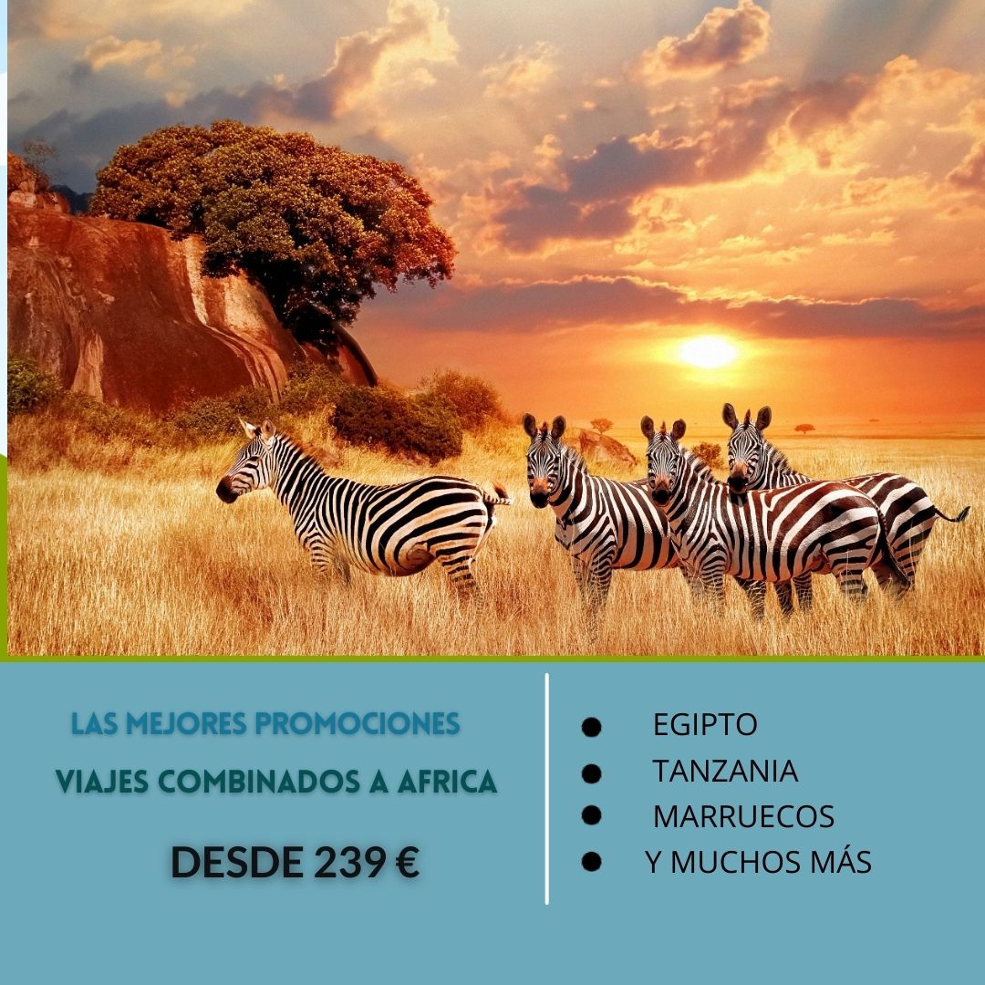 BANNER MOVIL PROMOCION VIAJES COMBINADOS AFRICA