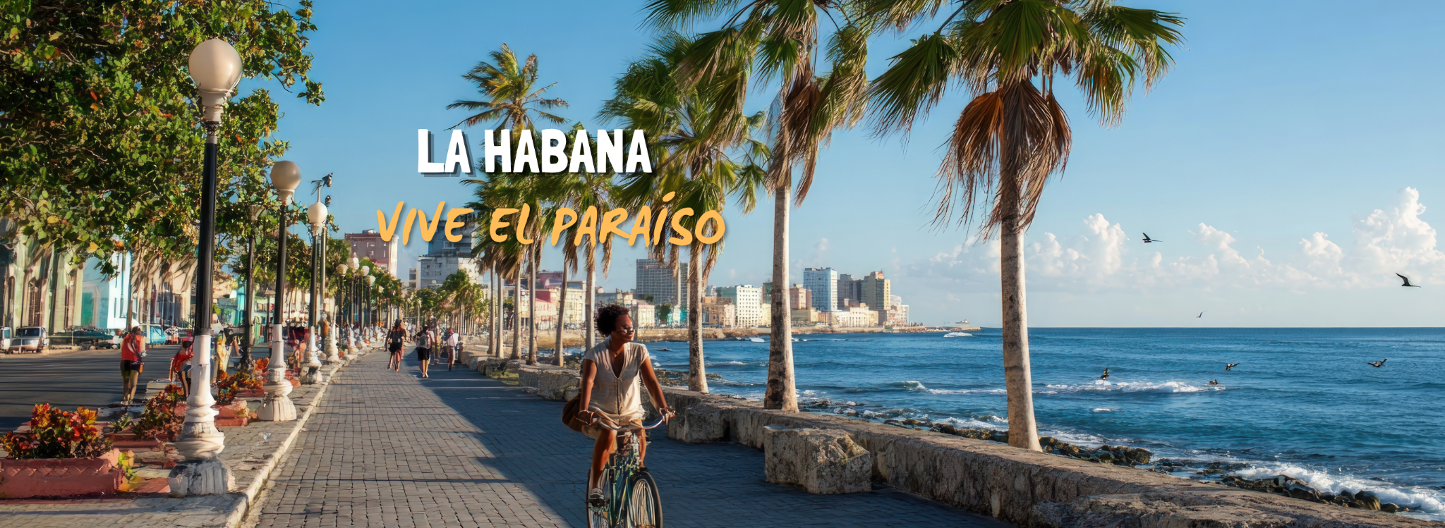https://viajarcaribe.es/viajes/assets/upload/d4187.webp