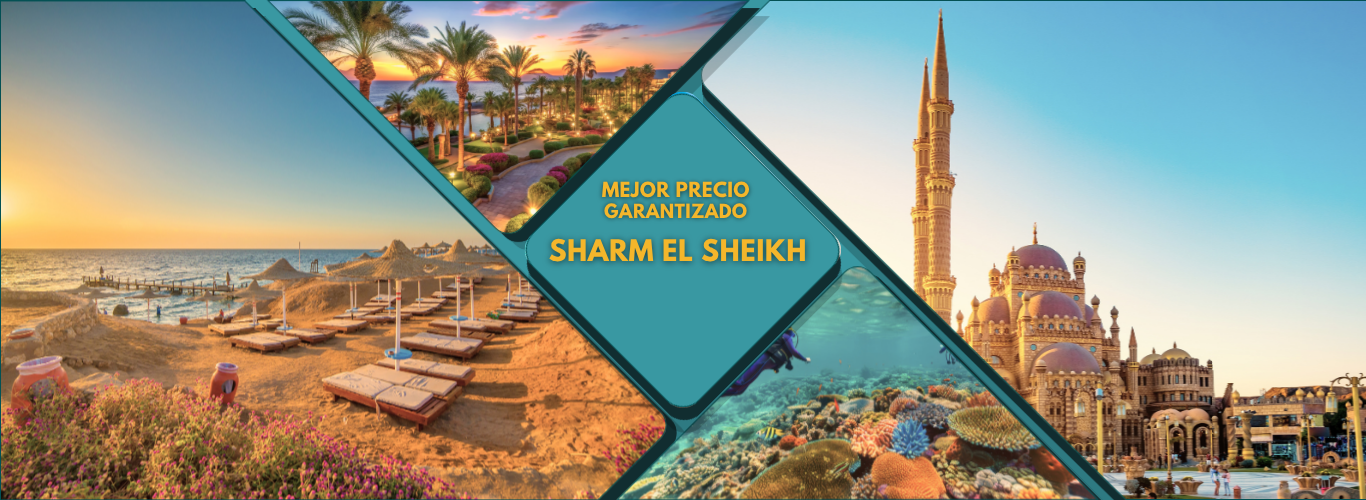 https://viajarcaribe.es/viajes/assets/upload/d4293.webp